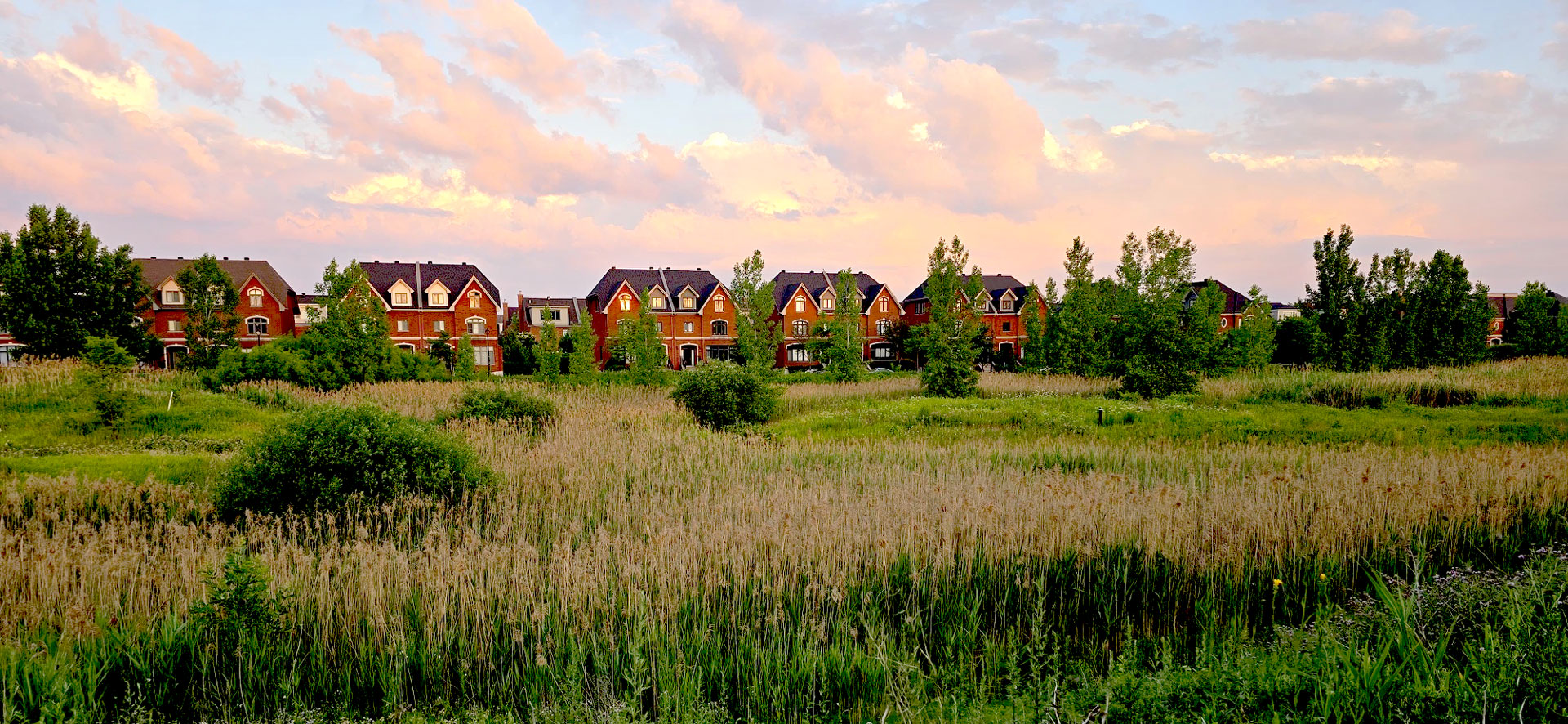 Vue du quartier Bois Franc à partir du parc