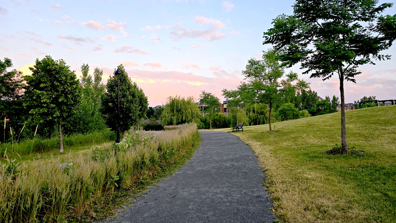 Sentier dans Bois Franc